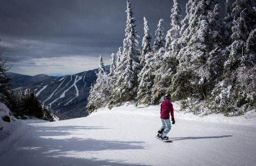 Geodome 1min to Smuggler's Notch with hot tub & River - Foto 36