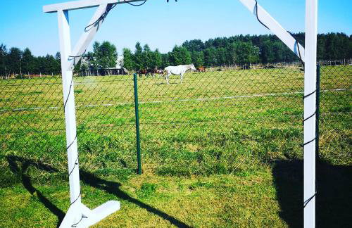 Słoneczny Zakątek Słajszewo - Foto 56