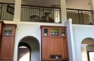 The Big House on Pleasant Valley Farm - Foto 20