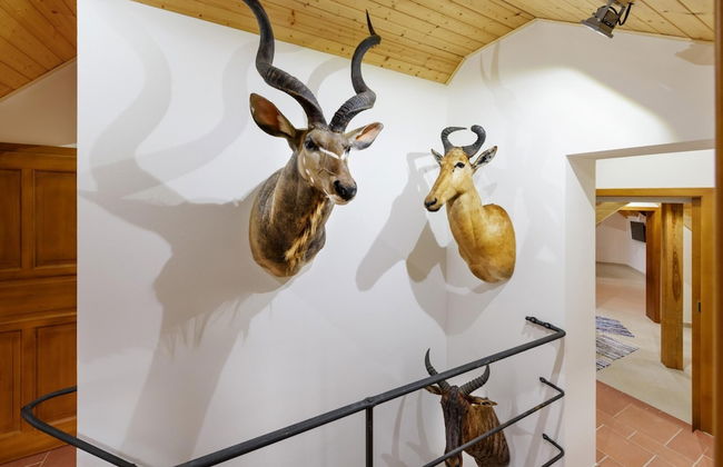 Orl k Jvnl102 in Varva ov - Photo 28