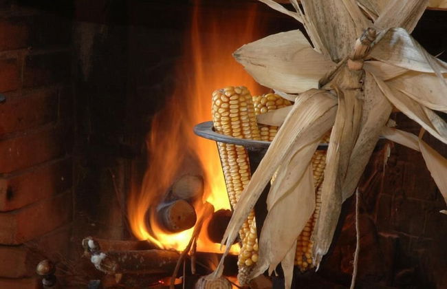 Agriturismo I Pagliai - Photo 54