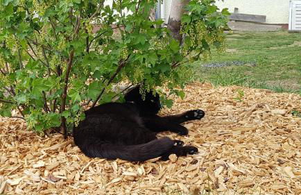 Hans Girgl Hof - Foto 63