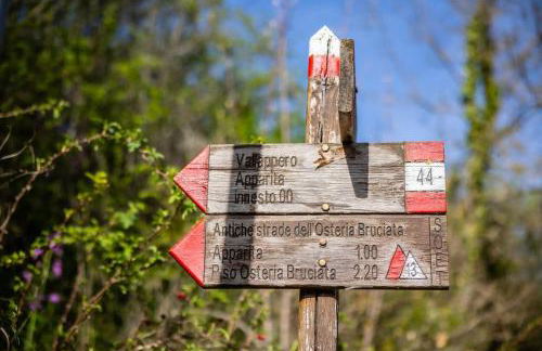 Il Casale Mugello - Affitti Brevi Italia - Foto 30