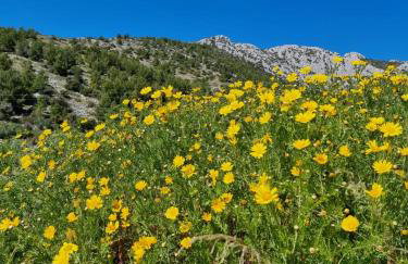 209 Zavala Ferienwohnung - Foto 11