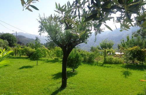 Bernardes House - Foto 50