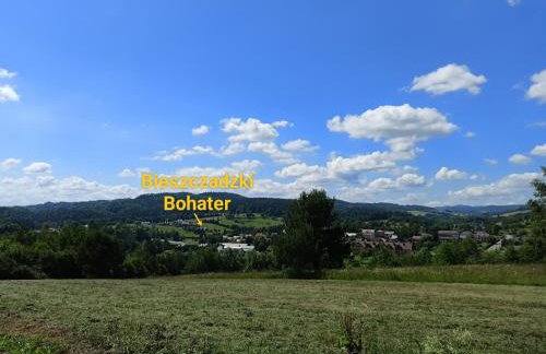 Bieszczadzki Bohater Domki 533-502-137 - Photo 69