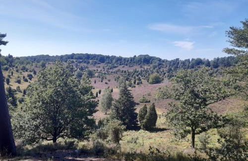 Dammann's Hof - Foto 24