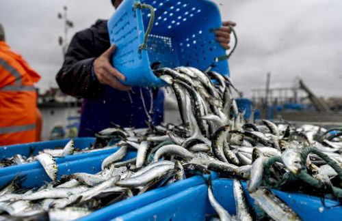 Baleal Bali Casa da Ilha - Foto 62