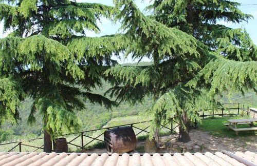 La Corte dei Banchetti - Foto 35