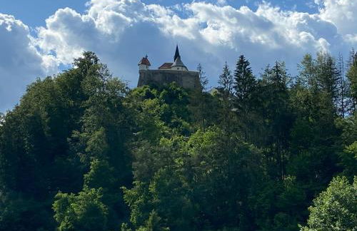 Haus Wiesenblick - Foto 31