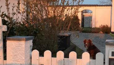 Nordseeblick Ferienhaus - Foto 4