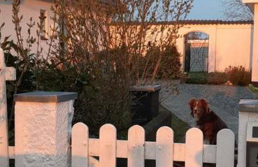 Nordseeblick Ferienhaus - Foto 4