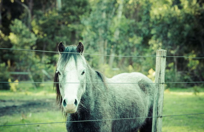 The Hobart Entrance - Foto 17