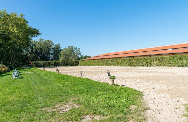 Ferienhaus in Eschede - Photo 59