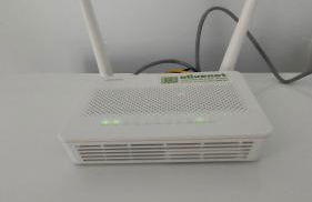 La Carrajolilla - Foto 76