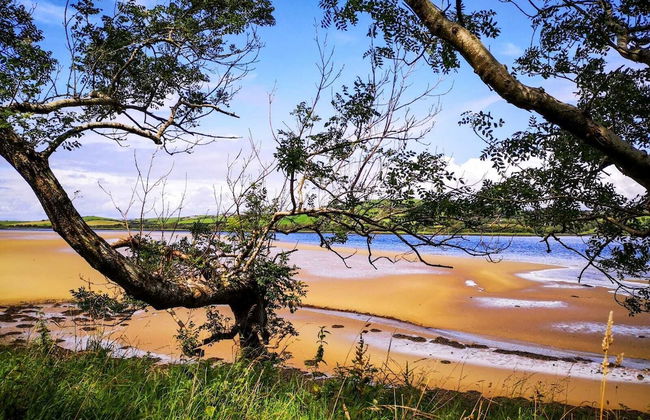 The Snuggly Sheep Shepherd Hut Campview Farm Stay - Foto 18