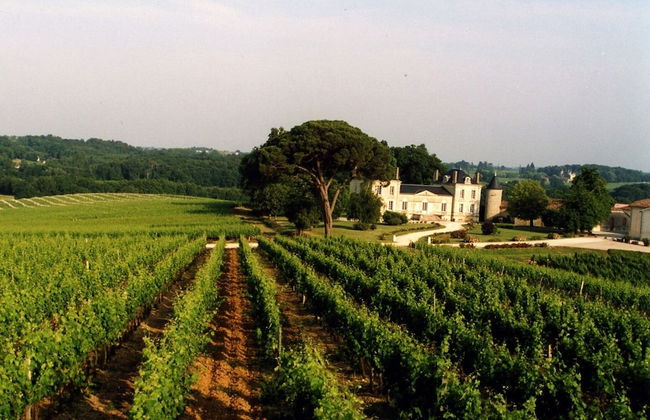 La France - Gite Château - Foto 25