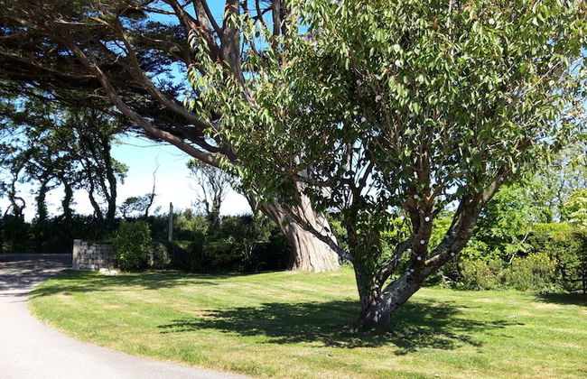 Trelawne Garden Annexe - Foto 23