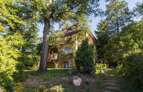 Ferienwohnung Dresden-Pillnitz - Elbhang-Villa - "Am Zuckerhut" - Foto 1