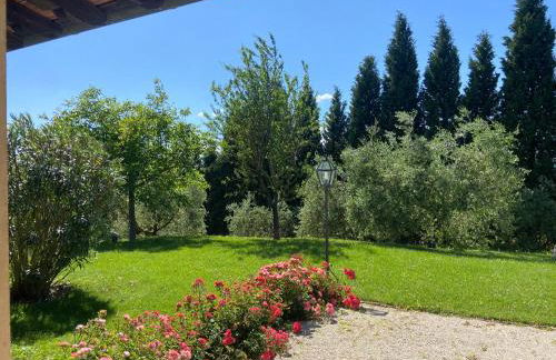 AGRIFOGLIO - Photo 26