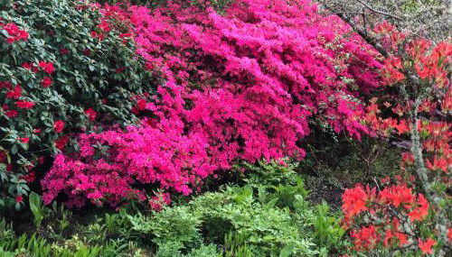 Finlaystone Family Barn - Foto 4