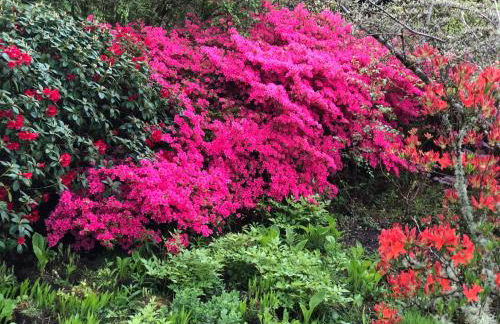 Finlaystone Family Barn - Foto 4