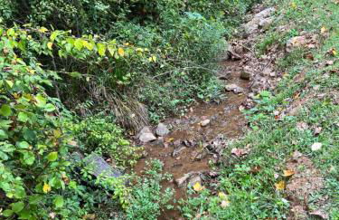 The Wine Cottage Spacious 5BR Near Nelson 151 - Foto 54