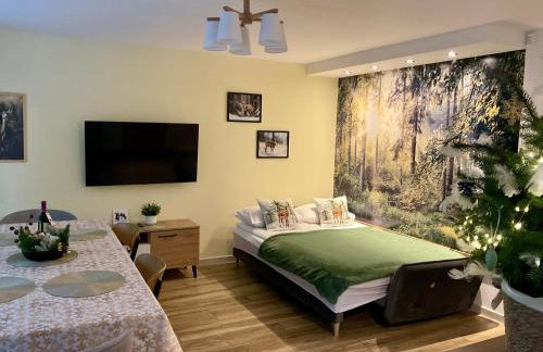 Domek Koziołek przy szlaku, Szyndzielnia, Klimczok, Szczyrk, Bania - Foto 11