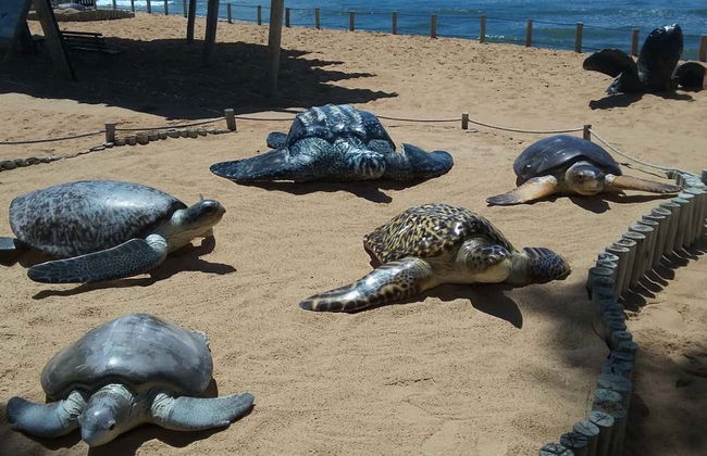 Excursion à la plage du Forte - Photo 5