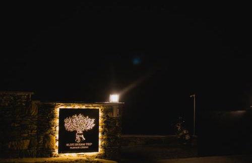 Five Olive Dream Trip - Photo 54