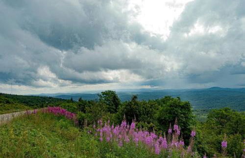 Treehouse Cabin in Riverton, WV - Foto 20