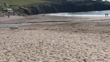 Ocean Pearl , 20 Circular , Challaborough Bay - Foto 5