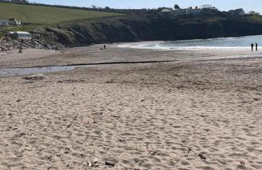 Ocean Pearl , 20 Circular , Challaborough Bay - Foto 5