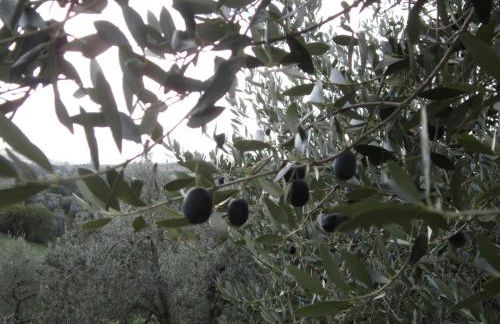 Casa l'Arcobaleno - Foto 18
