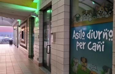 FRANZHOUSE - Foto 10