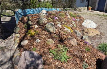 Apartament Pod Orzechem - Foto 3