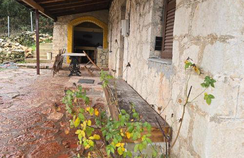 Κτήμα Βασίληγιάννη - Foto 62