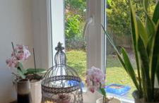 Maison à la Campagne - Foto 16