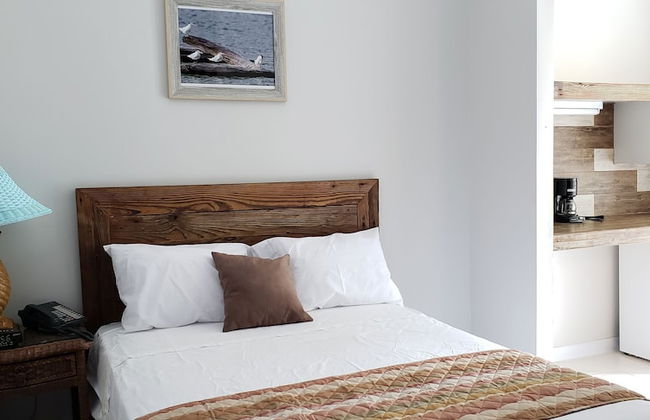 South Coast Horizons - Photo 7