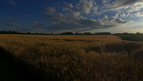 Privat Apartment- Near Strasbourg, Baden Baden - Foto 4