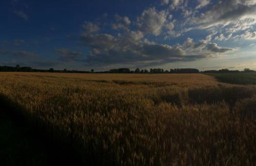 Privat Apartment- Near Strasbourg, Baden Baden - Foto 4