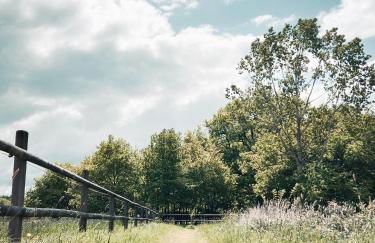 Maison Moz - Foto 42