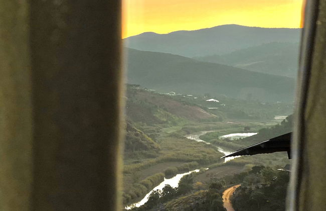 Midori Coffee Farm - Photo 21