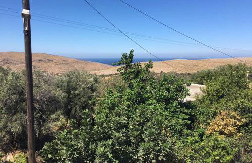 Elata Stone House - Photo 32