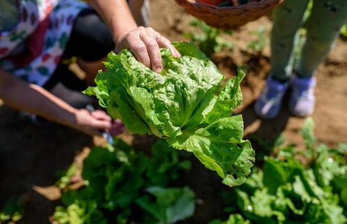 Accomodation STERMASI - Photo 56