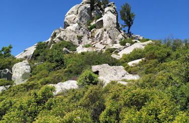 Matta e Sole - Foto 31