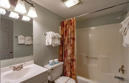 Swiss Mountain Village - Foto 62