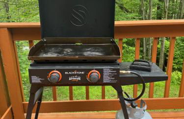 Modern Mountain Retreat Near Dolly Sods & Skiing home - Foto 54