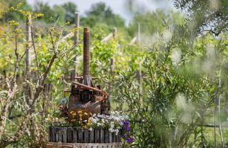 APPARTAMENTO CASA VACANZA AGRITURISMO BORGO di CALMASINO - Foto 39