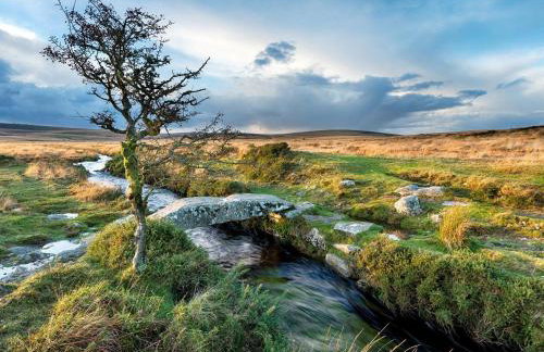 3 Bed in Launceston oc-oldoa - Photo 34